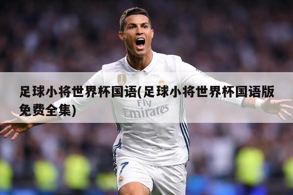 足球小将世界杯国语(足球小将世界杯国语版免费全集)